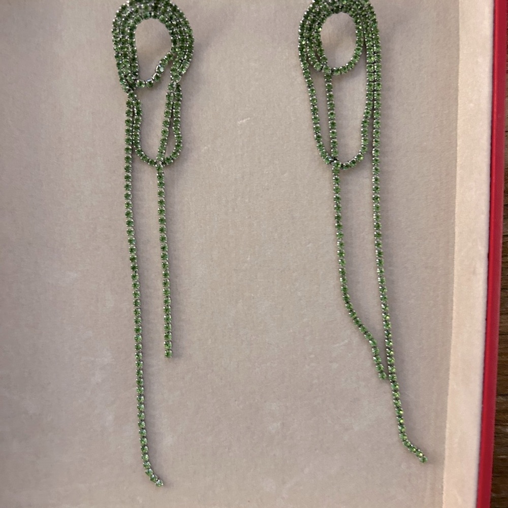 Sashi Vroom earrings. Never worn